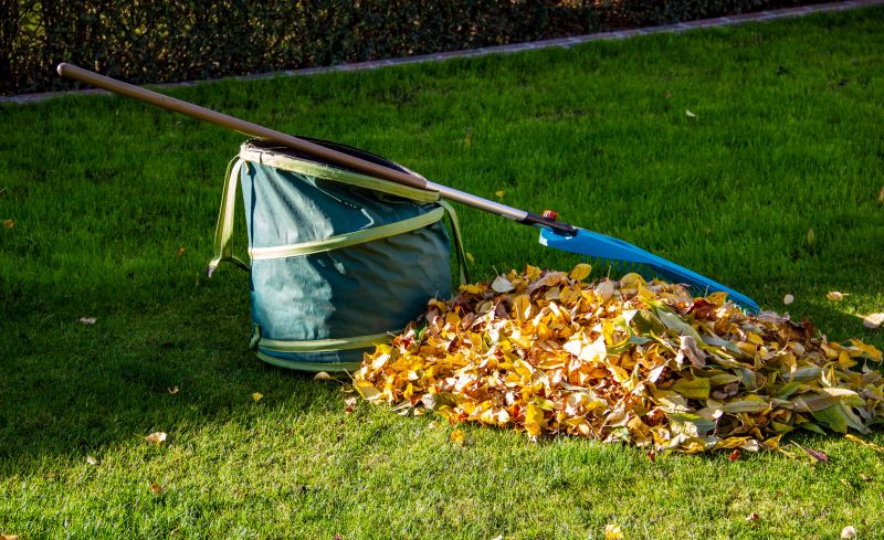 Leaves Being Collected