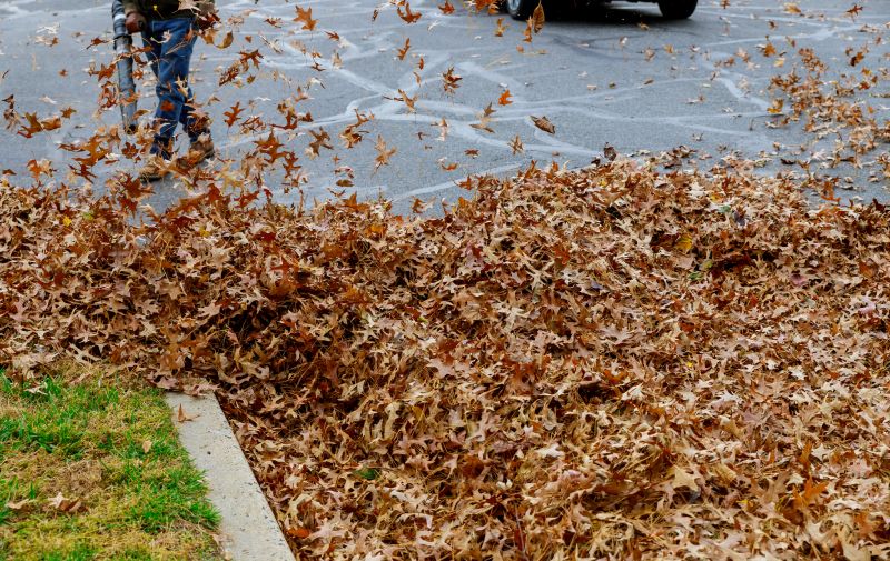 Efficient Leaf Removal Team